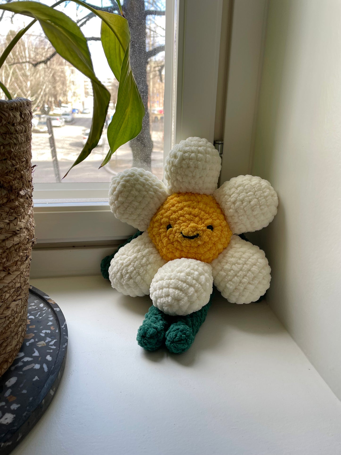 Daisy