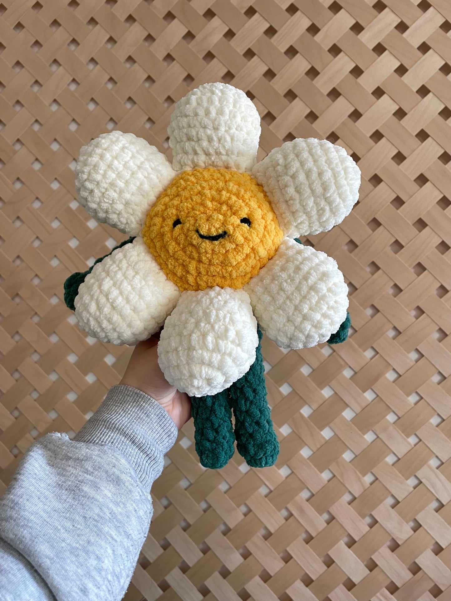Daisy