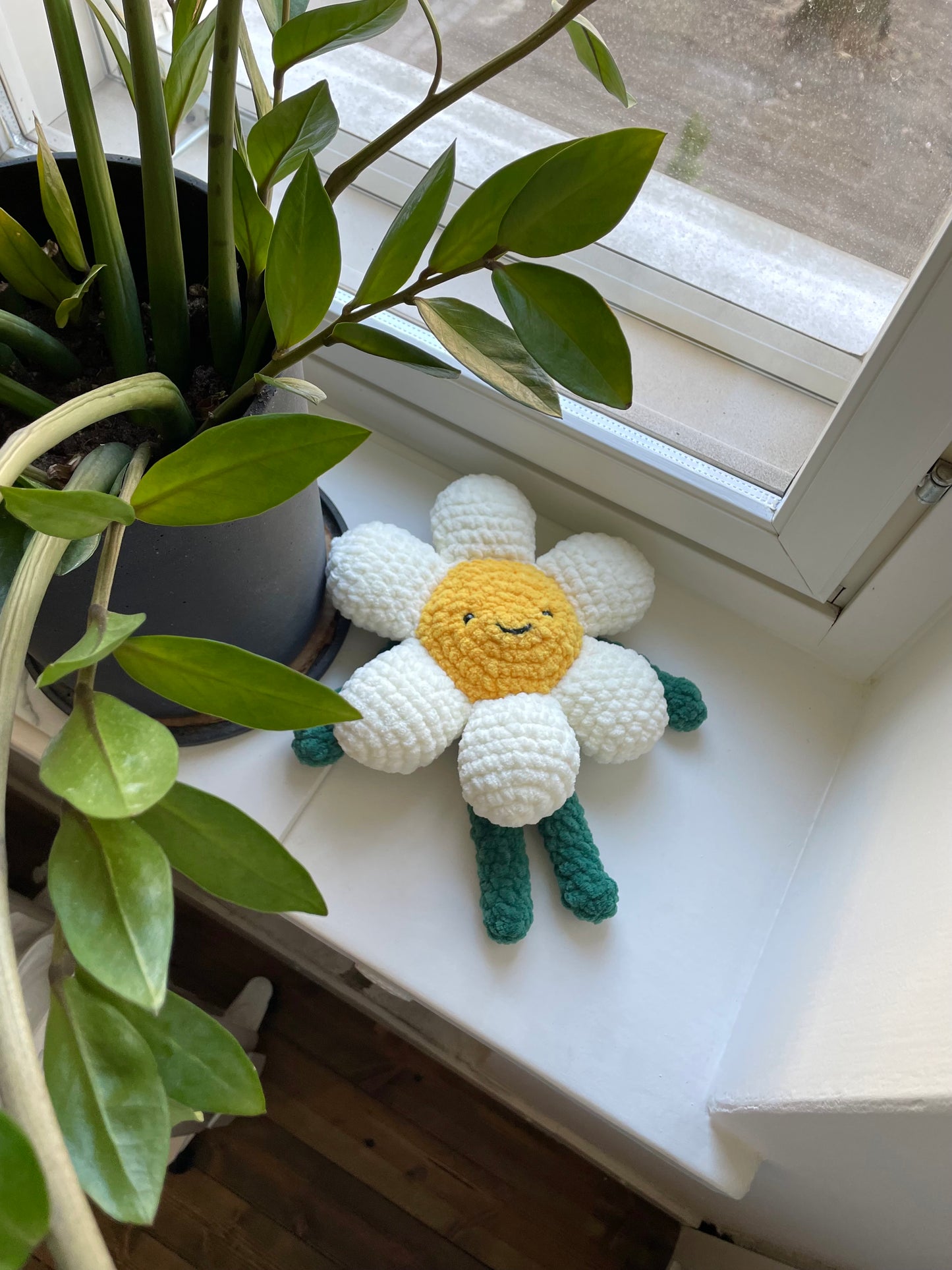 Daisy